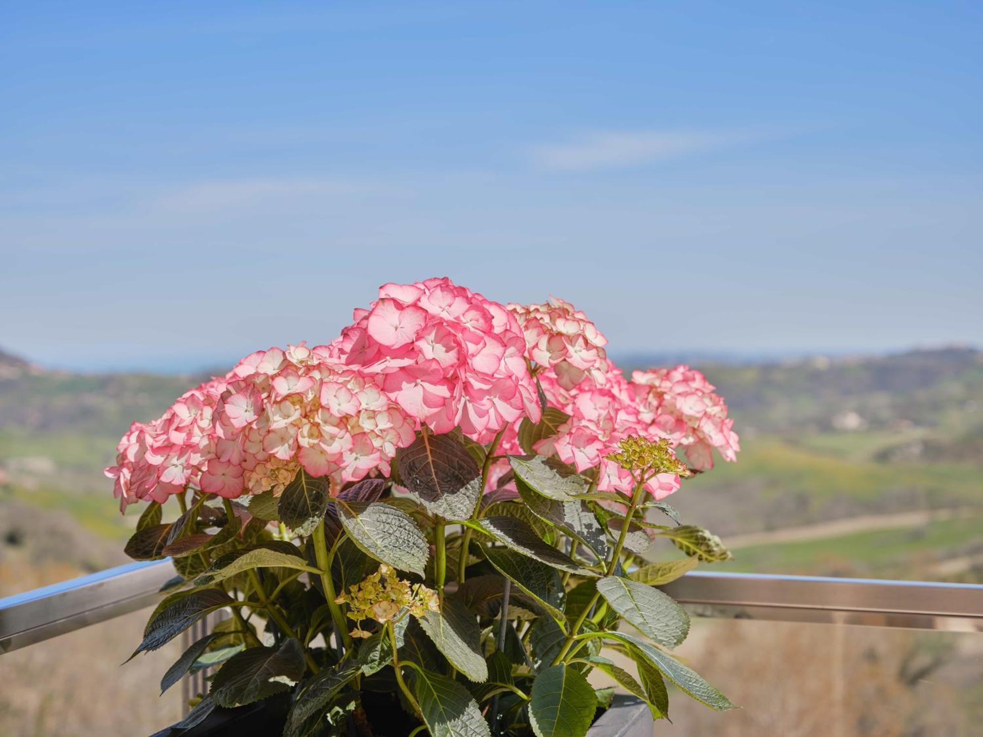 Albergo Diffuso - Il Poggetto Tra Urbino & San Marino Exterior photo